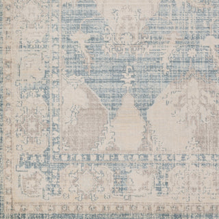 Artistic Weavers Ephesus Lawren Denim Blue/Light Blue Area Rug Swatch