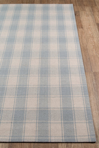 Momeni Marlborough Charles Light Blue Area Rug by Erin Gates Corner Image