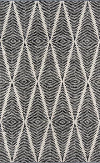 Momeni River Beacon Black Area Rug by Erin Gates main image