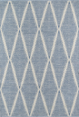 Momeni River Beacon Denim Area Rug by Erin Gates main image