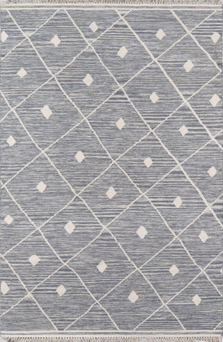 Momeni Thompson Appleton Grey Area Rug by Erin Gates main image