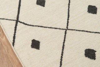 Momeni Thompson Appleton Ivory Area Rug by Erin Gates Closeup Image