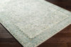Livabliss Erin ERN-2309 Area Rug
