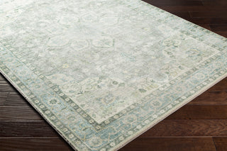 Livabliss Erin ERN-2309 Area Rug