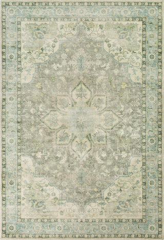 Livabliss Erin ERN-2309 Area Rug