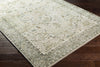 Livabliss Erin ERN-2310 Area Rug
