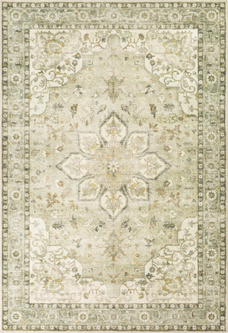 Livabliss Erin ERN-2310 Area Rug