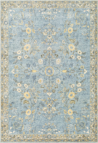 Livabliss Erin ERN-2311 Area Rug