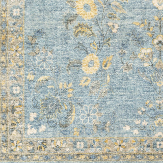 Livabliss Erin ERN-2311 Area Rug