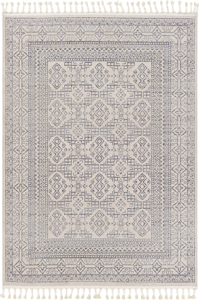 Surya Euphoria ERP-2304 Area Rug main image