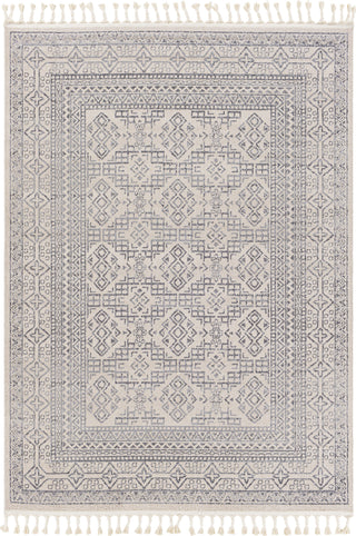 Surya Euphoria ERP-2304 Area Rug main image