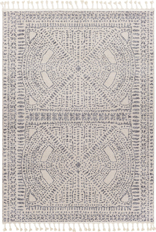 Surya Euphoria ERP-2306 Area Rug main image