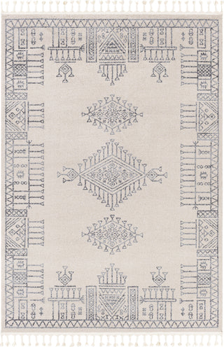 Surya Euphoria ERP-2311 Area Rug main image