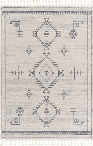 Surya Euphoria ERP-2313 Area Rug main image