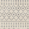 Surya Euphoria ERP-2315 Area Rug Swatch