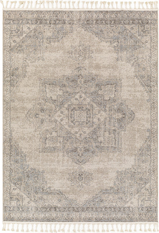 Surya Euphoria ERP-2317 Area Rug main image