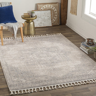 Surya Euphoria ERP-2317 Area Rug Room Scene Feature