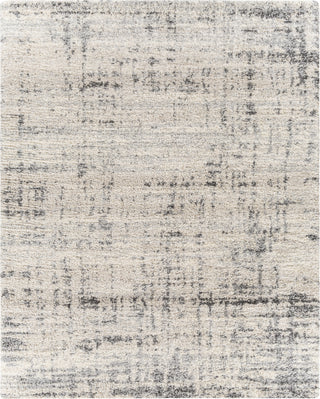 Surya Eskimo Shag ESG-2300 Area Rug 