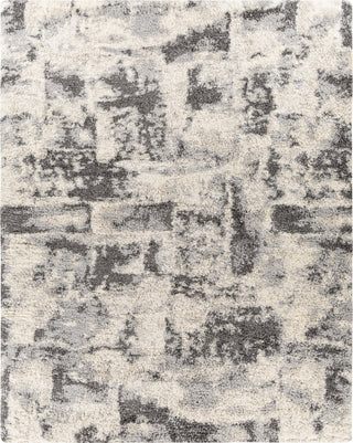 Surya Eskimo Shag ESG-2301 Area Rug 