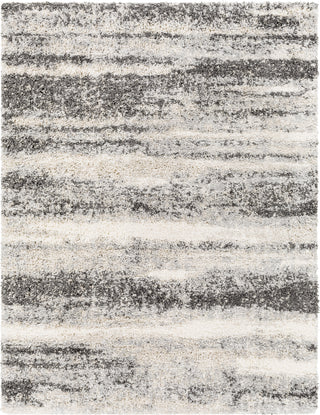 Surya Eskimo Shag ESG-2303 Area Rug main image