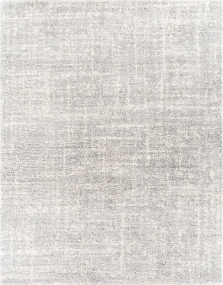 Surya Eskimo Shag ESG-2310 Area Rug 