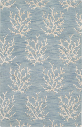 Surya Escape ESP-3013 Sky Blue Area Rug by Somerset Bay 5' x 8'