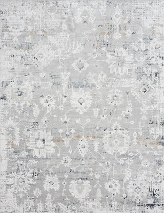 K2 ETHOS ET-395 Pearl Grey Area Rug main image