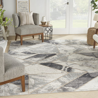 Nourison Elation ETN11 Ivory/Grey Area Rug Main Image