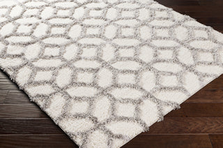 Surya Everton ETN-2302 Area Rug Corner Shot