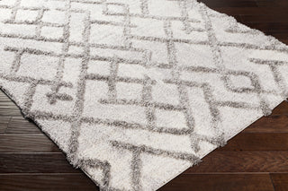 Surya Everton ETN-2304 Area Rug Corner Shot