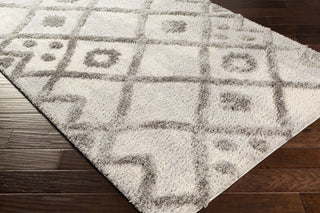 Surya Everton ETN-2305 Area Rug Corner Shot