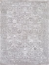 Surya Rafetus ETS-2301 Area Rug Main Image 8 X 10