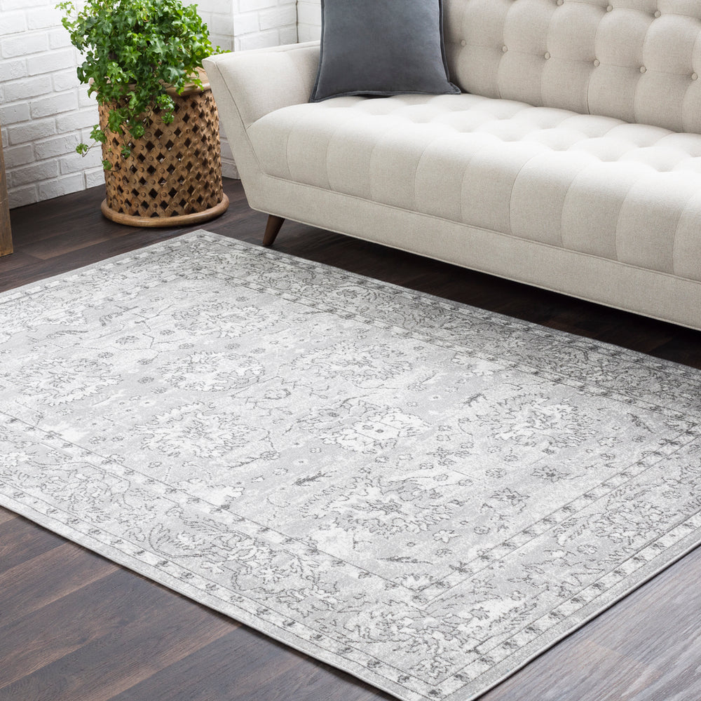 Surya Rafetus ETS-2301 Area Rug Room Image Feature