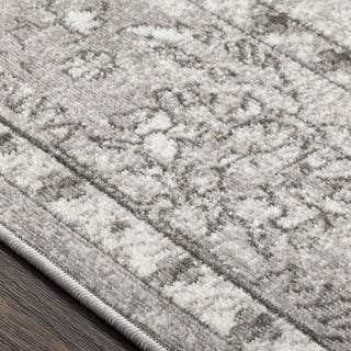 Surya Rafetus ETS-2301 Area Rug Texture Image