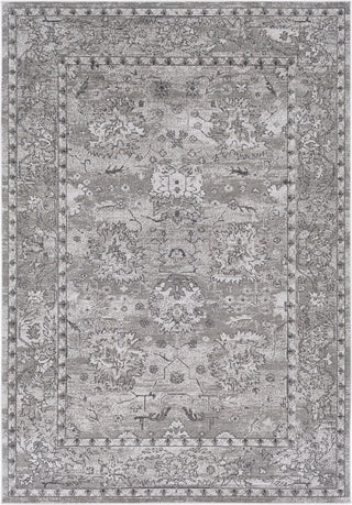 Surya Rafetus ETS-2302 Area Rug main image