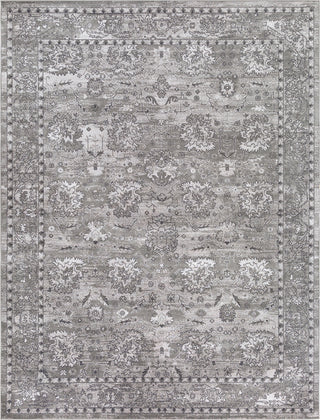 Surya Rafetus ETS-2302 Area Rug Main Image 8 X 10