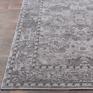 Surya Rafetus ETS-2302 Area Rug Detail Image