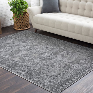 Surya Rafetus ETS-2302 Area Rug Room Image Feature