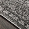 Surya Rafetus ETS-2302 Area Rug Texture Image