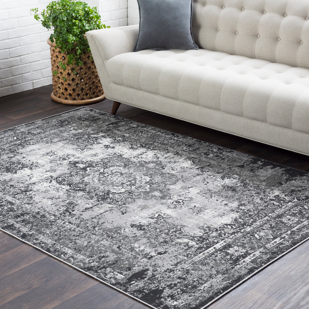 Surya Rafetus ETS-2307 Area Rug Room Image Feature