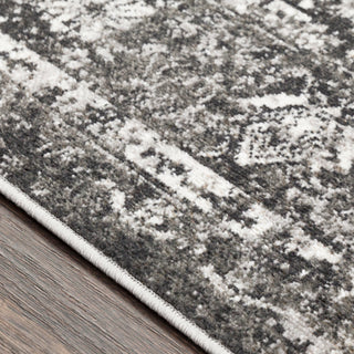 Surya Rafetus ETS-2307 Area Rug Texture Image