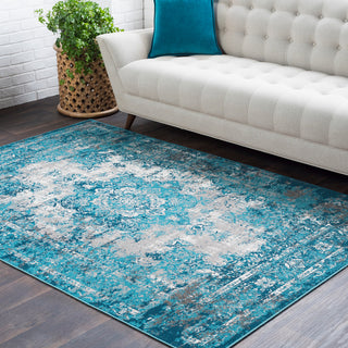 Surya Rafetus ETS-2309 Area Rug Room Image Feature