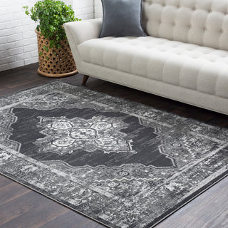 Surya Rafetus ETS-2314 Area Rug Room Image Feature