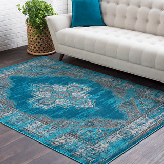 Surya Rafetus ETS-2316 Area Rug Room Image Feature