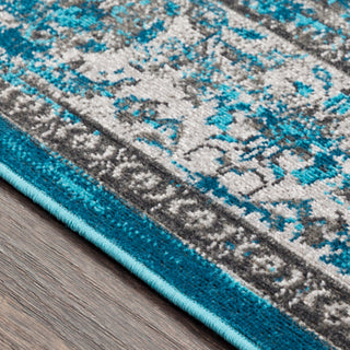 Surya Rafetus ETS-2316 Area Rug Texture Image