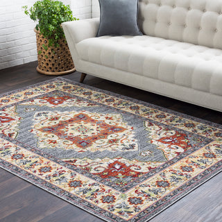 Surya Rafetus ETS-2319 Area Rug Room Image Feature