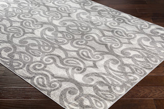 Surya Rafetus ETS-2320 Medium Gray Charcoal White Area Rug Mirror Corner Image