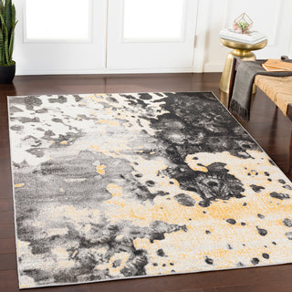 Surya Rafetus ETS-2326 Area Rug Room Image Feature