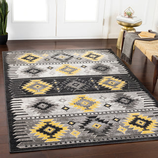 Surya Rafetus ETS-2330 Area Rug Room Image Feature