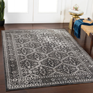 Surya Rafetus ETS-2331 Area Rug Room Image Feature